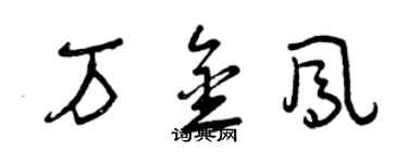曾庆福万金凤草书个性签名怎么写