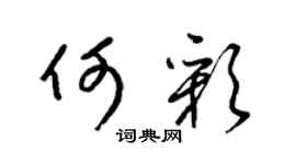 梁锦英何彩草书个性签名怎么写