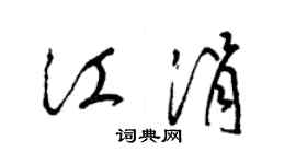 梁锦英江涓草书个性签名怎么写