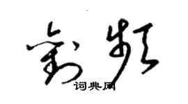 梁锦英刘频草书个性签名怎么写