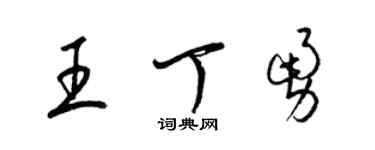 梁锦英王丁勇草书个性签名怎么写