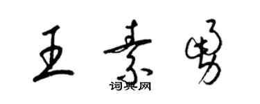 梁锦英王素勇草书个性签名怎么写