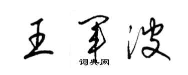 梁锦英王军波草书个性签名怎么写