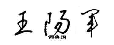 梁锦英王阳军草书个性签名怎么写
