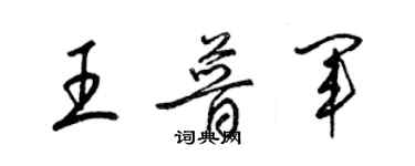 梁锦英王普军草书个性签名怎么写