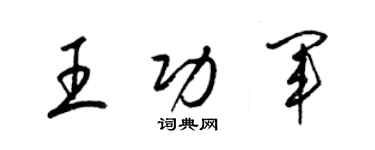 梁锦英王功军草书个性签名怎么写