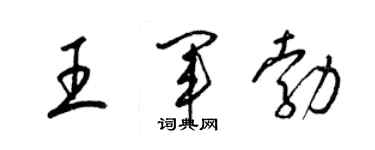 梁锦英王军勃草书个性签名怎么写