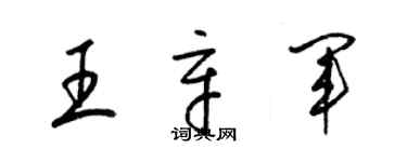 梁锦英王辛军草书个性签名怎么写