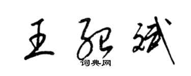 梁锦英王绍斌草书个性签名怎么写