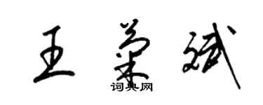 梁锦英王菊斌草书个性签名怎么写