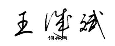 梁锦英王诚斌草书个性签名怎么写