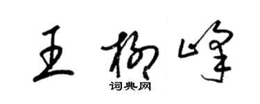 梁锦英王柳峰草书个性签名怎么写