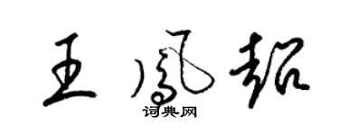 梁锦英王凤超草书个性签名怎么写