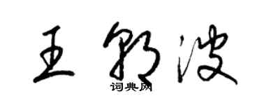 梁锦英王朝波草书个性签名怎么写