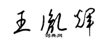梁锦英王胤辉草书个性签名怎么写