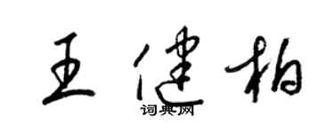 梁锦英王健柏草书个性签名怎么写