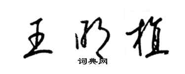 梁锦英王明植草书个性签名怎么写
