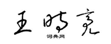 梁锦英王时亮草书个性签名怎么写