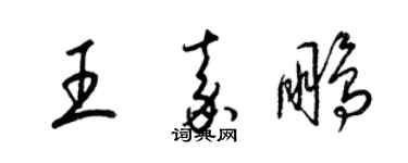 梁锦英王嘉鹏草书个性签名怎么写