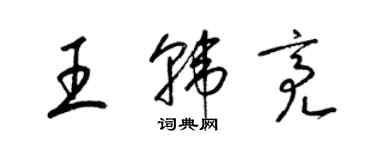 梁锦英王韩亮草书个性签名怎么写