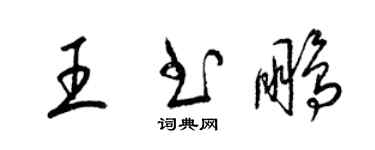梁锦英王书鹏草书个性签名怎么写