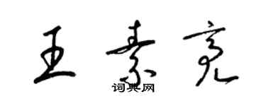 梁锦英王素亮草书个性签名怎么写
