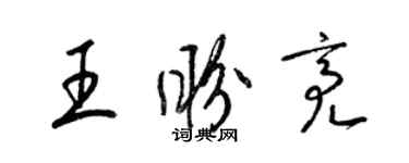 梁锦英王盼亮草书个性签名怎么写