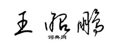 梁锦英王昭鹏草书个性签名怎么写