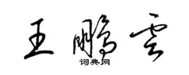 梁锦英王鹏云草书个性签名怎么写