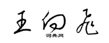 梁锦英王向飞草书个性签名怎么写