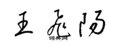 梁锦英王飞阳草书个性签名怎么写