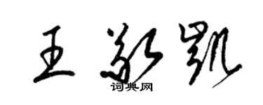 梁锦英王敬凯草书个性签名怎么写