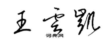 梁锦英王云凯草书个性签名怎么写