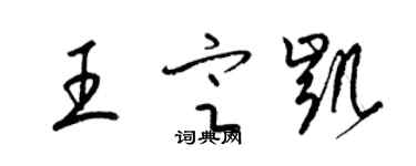 梁锦英王定凯草书个性签名怎么写