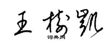 梁锦英王树凯草书个性签名怎么写