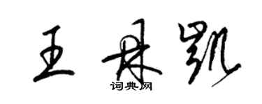 梁锦英王鼎凯草书个性签名怎么写