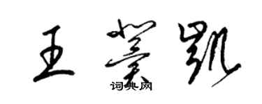 梁锦英王冀凯草书个性签名怎么写