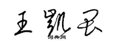 梁锦英王凯畏草书个性签名怎么写