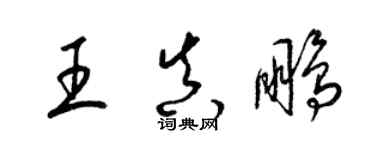 梁锦英王真鹏草书个性签名怎么写