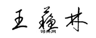 梁锦英王苏林草书个性签名怎么写