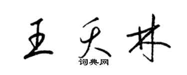 梁锦英王夭林草书个性签名怎么写