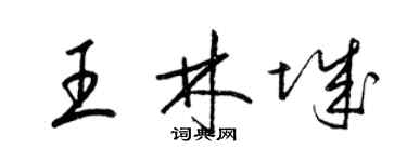 梁锦英王林城草书个性签名怎么写