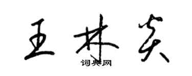 梁锦英王林炎草书个性签名怎么写