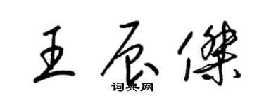 梁锦英王辰杰草书个性签名怎么写