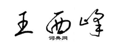 梁锦英王西峰草书个性签名怎么写