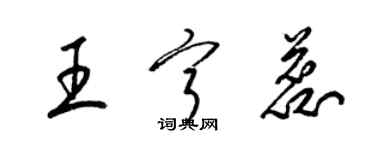 梁锦英王宁蕊草书个性签名怎么写