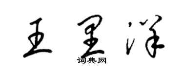 梁锦英王里洋草书个性签名怎么写