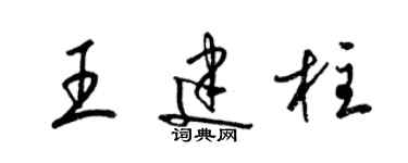 梁锦英王建柱草书个性签名怎么写