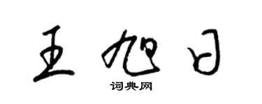 梁锦英王旭日草书个性签名怎么写