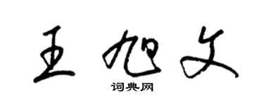 梁锦英王旭文草书个性签名怎么写
